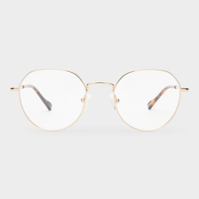 NOTORIETY | GOLD TRANSPARENT