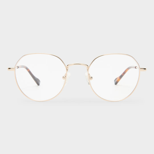 NOTORIETY | GOLD TRANSPARENT