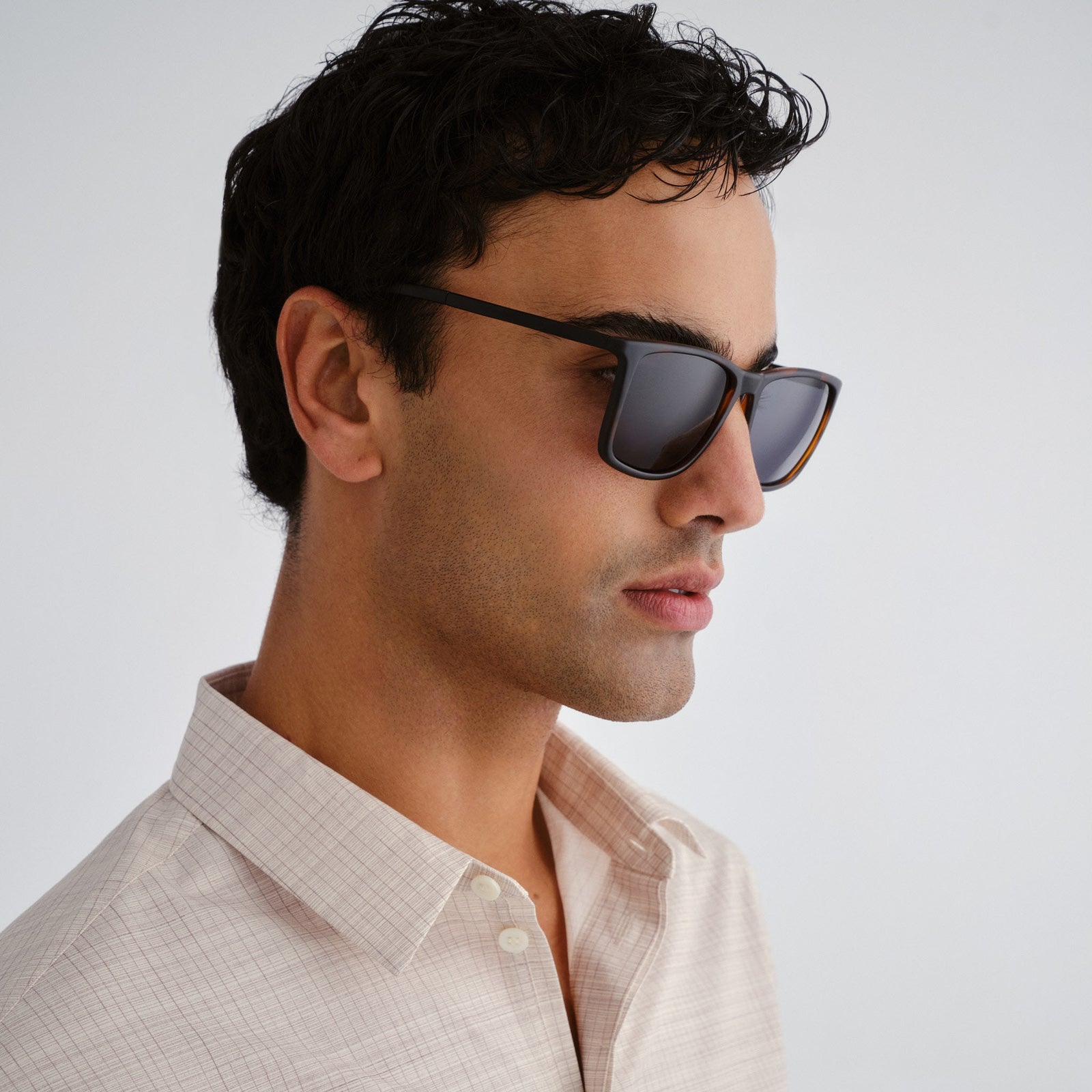 Tweedledum Matte Tort Matte Black Male D-Frame Sunglasses | Le Specs