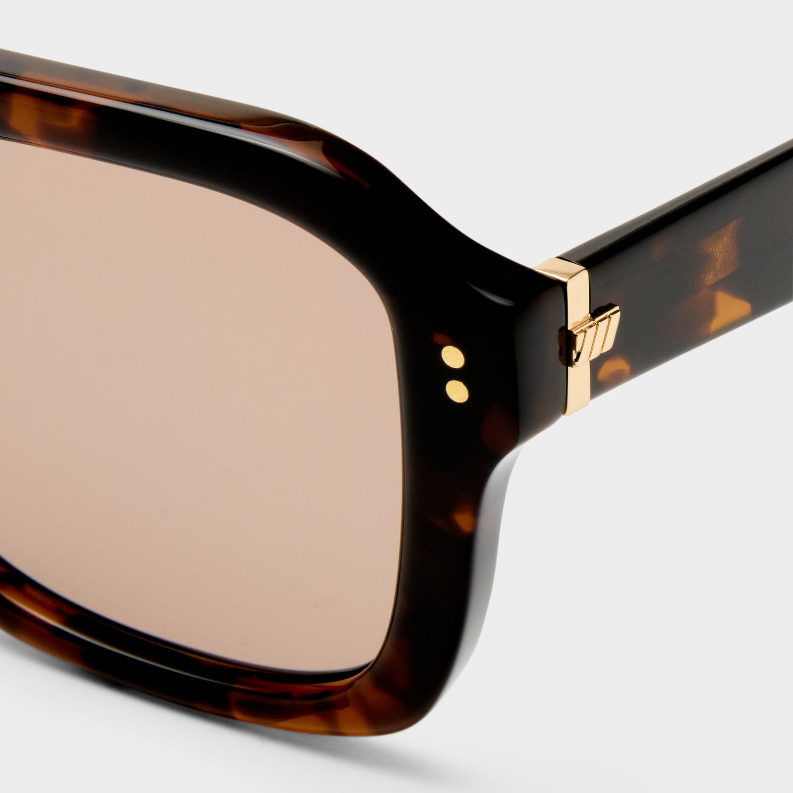 Subtext Chestnut Tort Uni-Sex Aviator Sunglasses | Le Specs