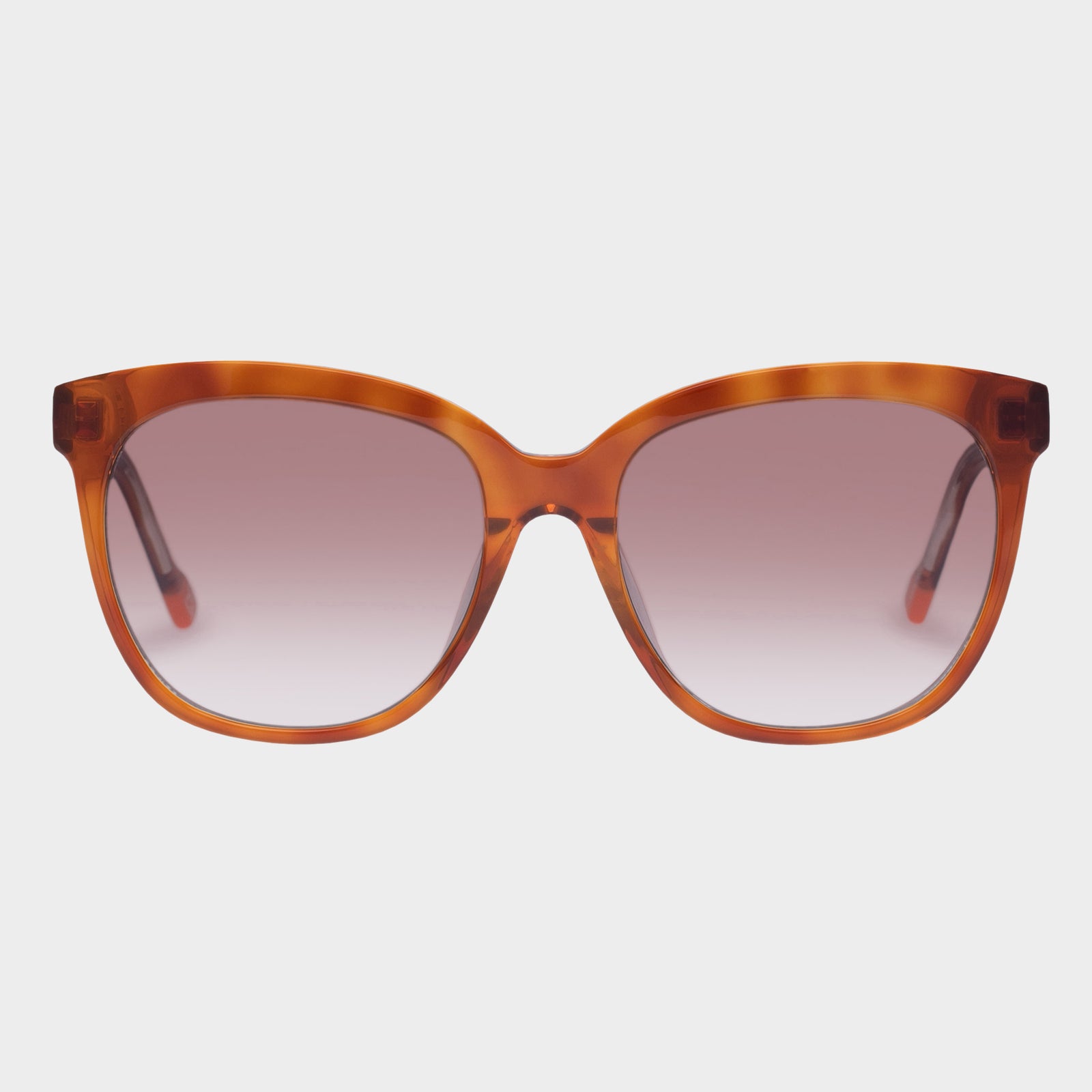 Oh Snap Vintage Tort Female Square Sunglasses | Le Specs