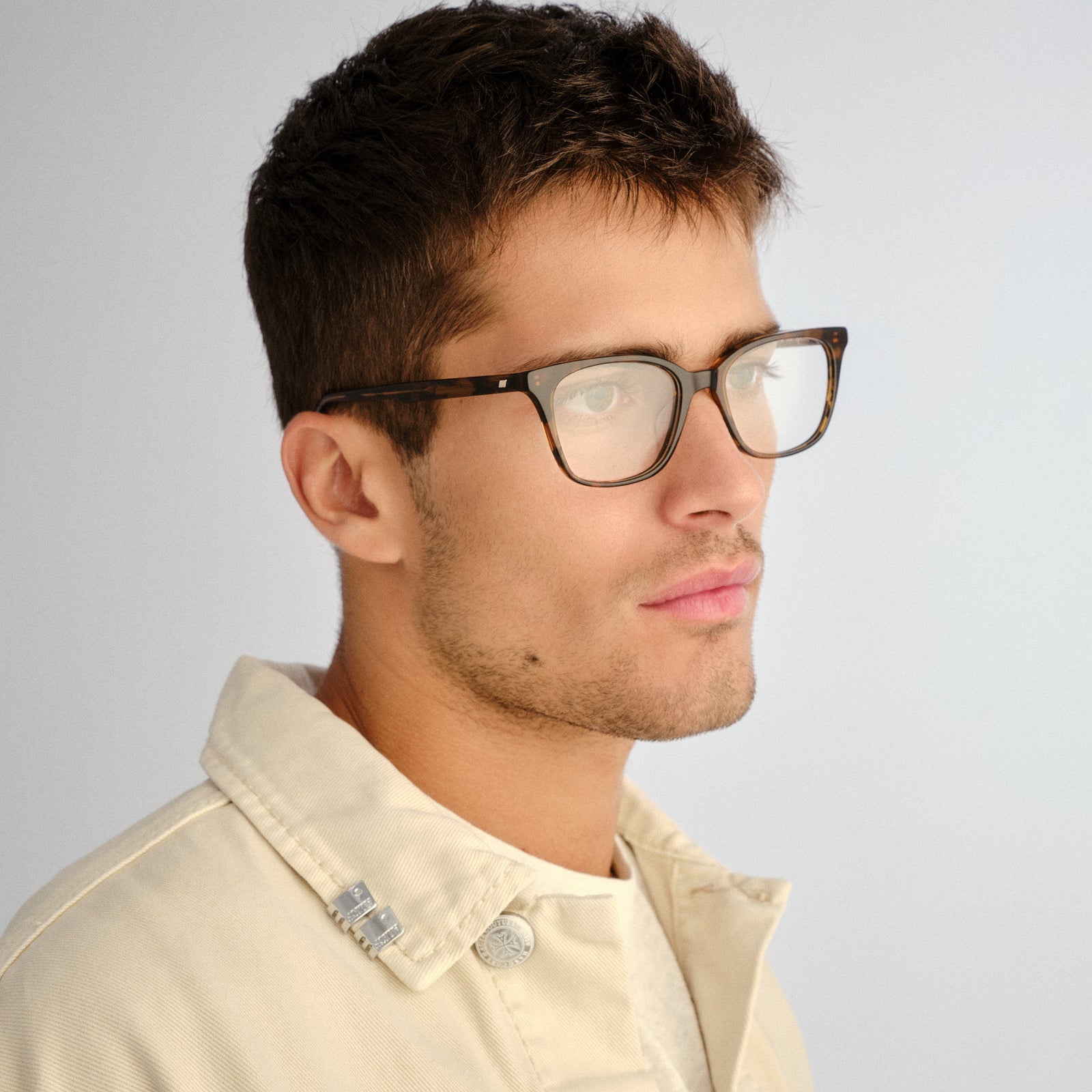 Off Script Chestnut Uni-Sex Cat-Eye Optical Frames | Le Specs