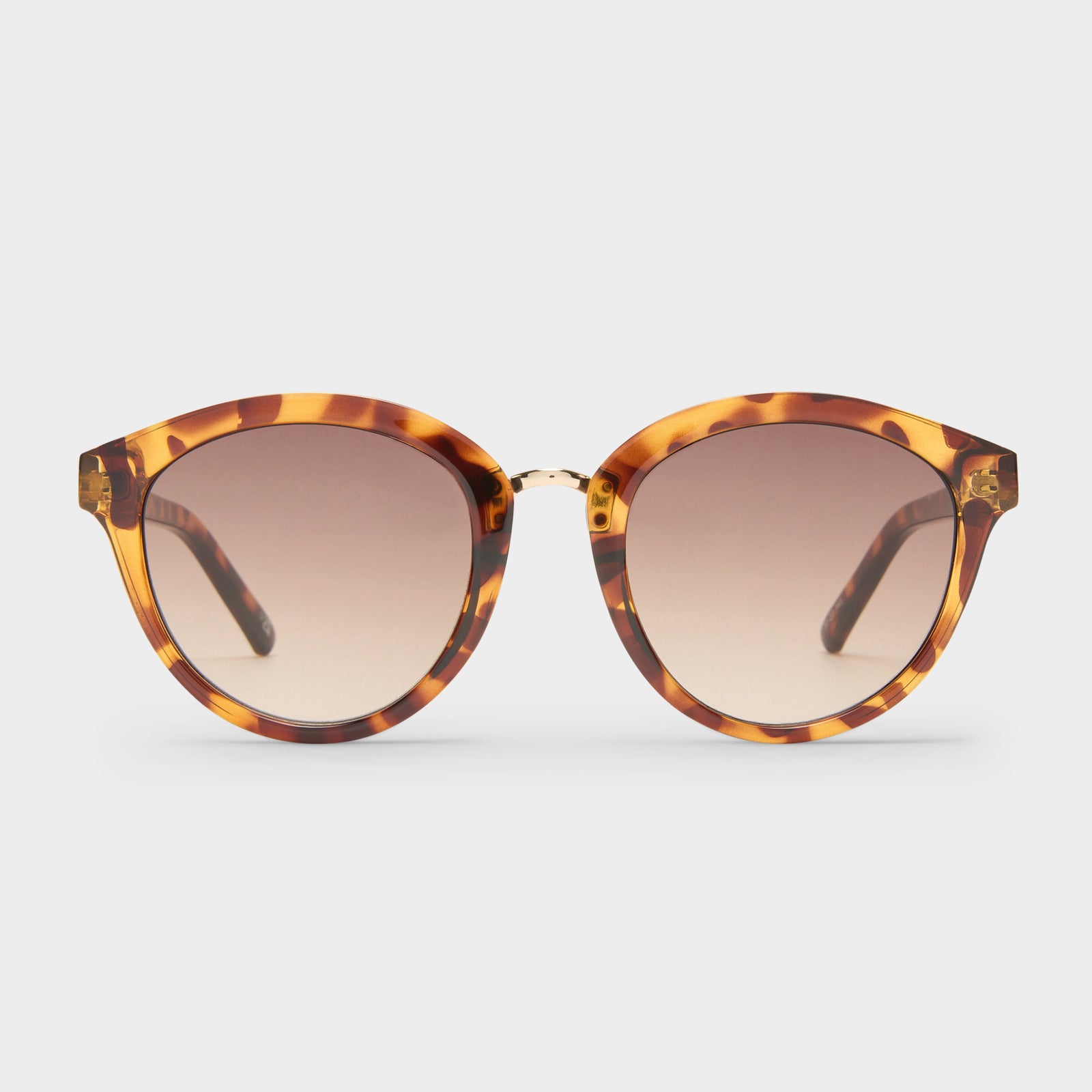 Influx Cola Tort Female Round Sunglasses | Le Specs